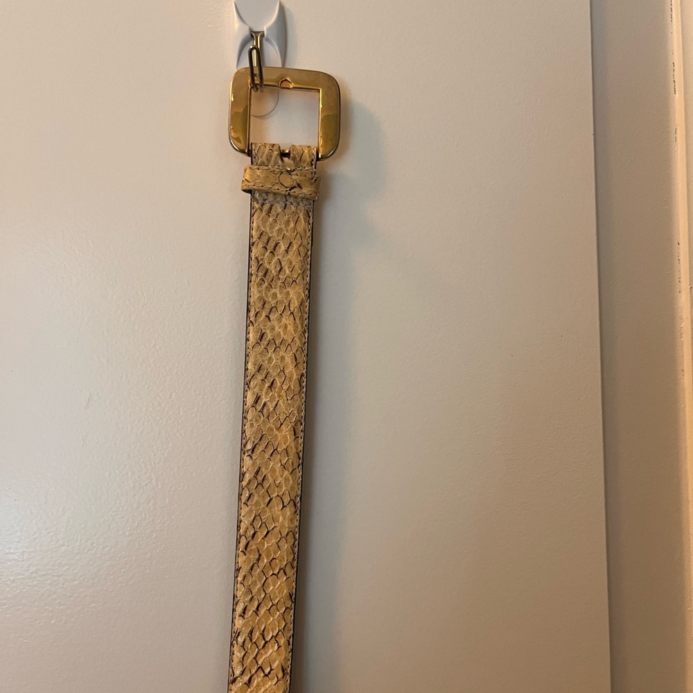 Real Snakeskin Belt with Gold Buckle